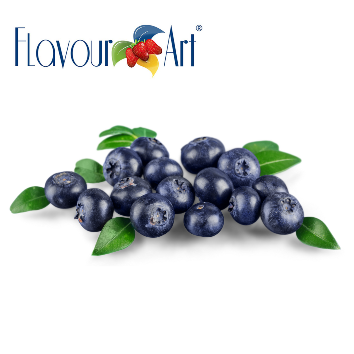 FA Bilberry