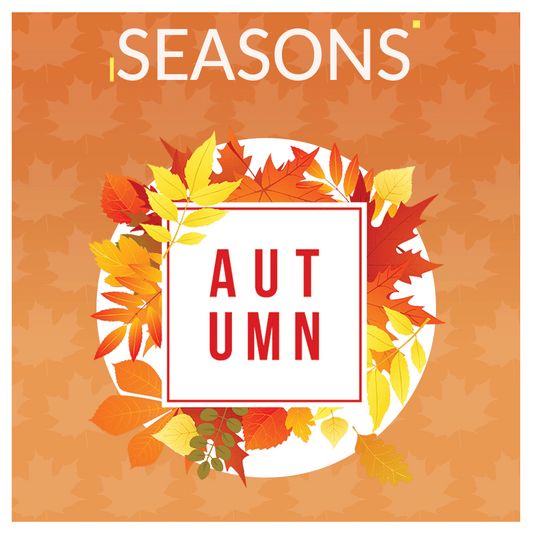 Seasons Autumn