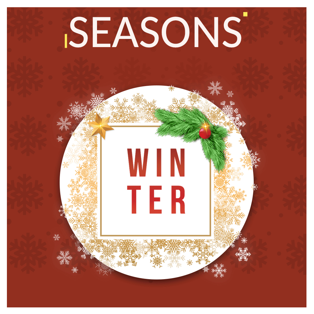 Seasons Winter